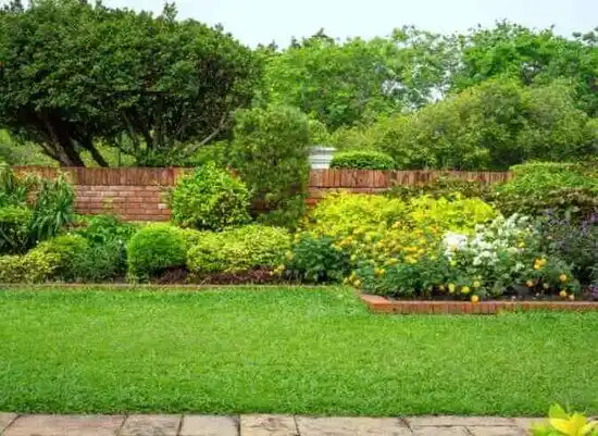 landscaping services Apex